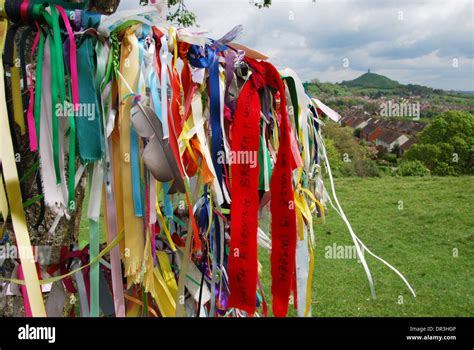 The Holy Thorn Tree Of Glastonbury High Resolution Stock Photography ...