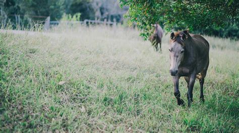 We have the Best Farmstay in NSW......how did that happen? - WeilHouse Living