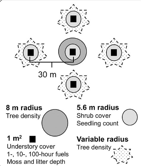 Site layout (not to scale) showing central plot and four peripheral... | Download Scientific Diagram