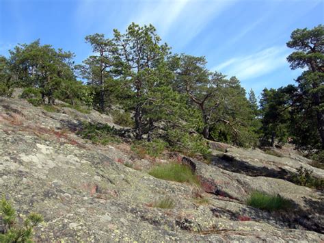 The Åland Islands | Wooster Geologists