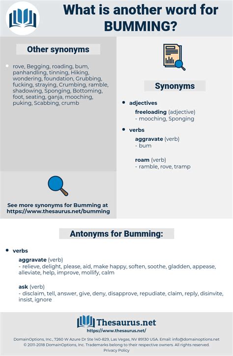 BUMMING: 2198 Synonyms and 67 Antonyms | Thesaurus.net