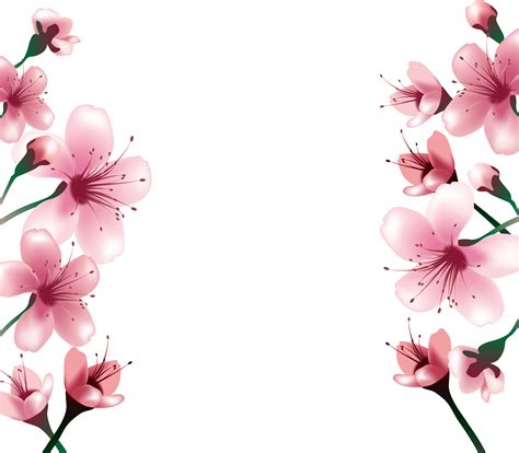 cherry blossoms clip art 20 free Cliparts | Download images on ...