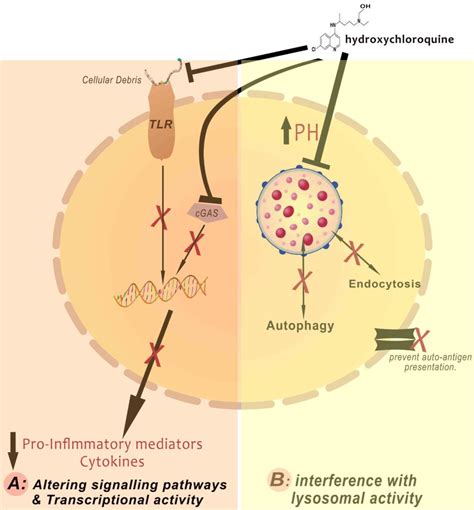 Hydroxychloroquine history and its cardiovascular safety | FPM