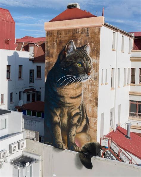 Street (cat) Art by SWIFTMANTIS in Papaioea, New Zealand (4 photos) | STREET ART UTOPIA