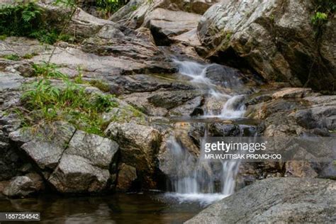 Daintree Rainforest Rain Photos and Premium High Res Pictures - Getty Images