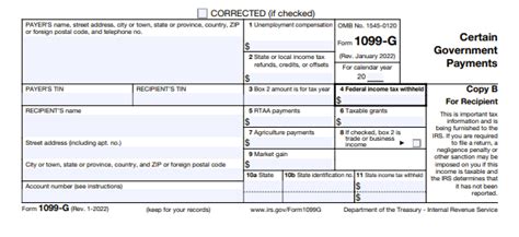 Form 1099-G Generator - ThePayStubs