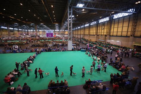 PHOTOS: The World’s Most Stylish Dogs Gather at the Crufts Dog Show | TIME.com