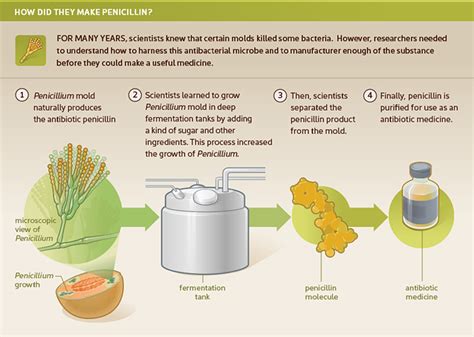 From DNA to Beer - Link Studio