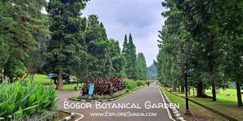 Bogor Botanical Garden | The Best Park for Picnic and Learning Botany