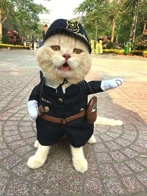 Pet Police Officer Detective Costume Cute Animal Clothing, Funny Halloween Cosplay, Police ...