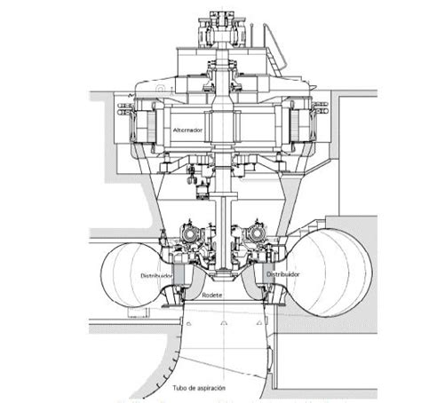 Esquema de turbina hidroeléctrica. Se muestran el caracol, el generador ...