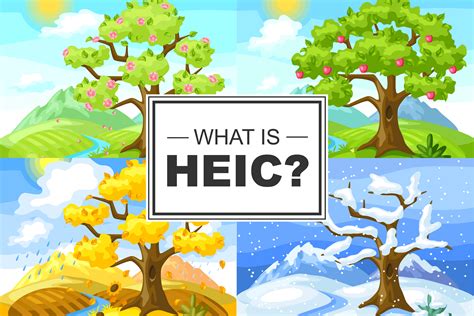 What Is HEIC?