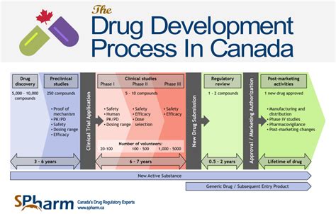 Drug Review Process Diagram Fda