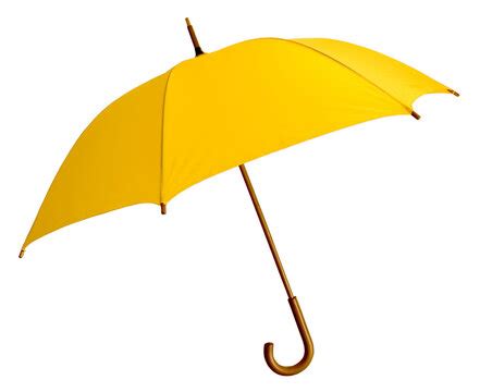 Umbrella Images – Browse 963,847 Stock Photos, Vectors, and Video | Adobe Stock