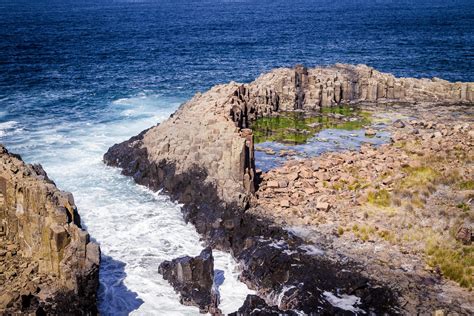 Bombo Headland Quarry Geological Site (with Photos)