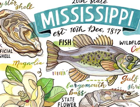 Mississippi Print State Symbols Illustration Home Decor - Etsy