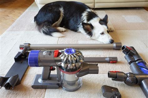 Dyson V8 Animal Review | Trusted Reviews