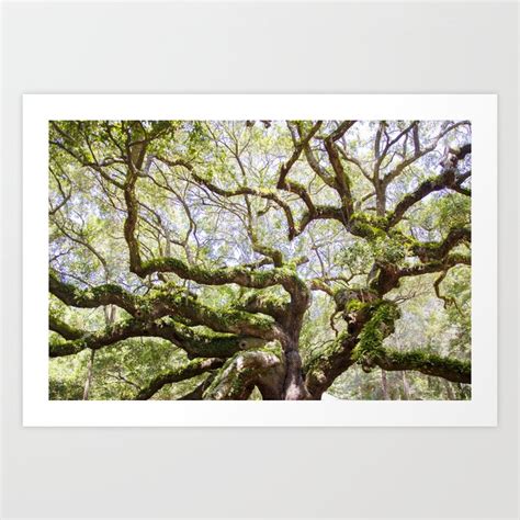 Angel Oak Tree Art Print by Kelly Grace | Society6