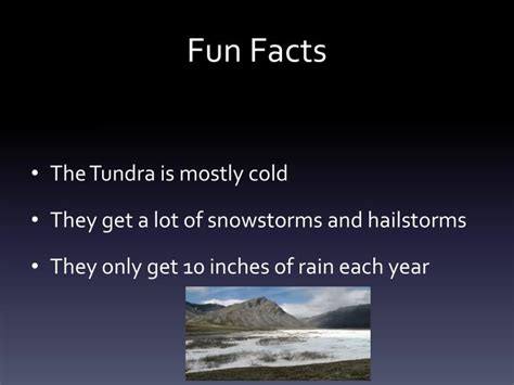 PPT - Tundra Biome PowerPoint Presentation - ID:5288084