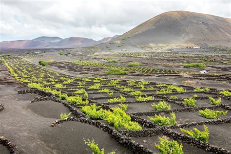 Lanzarote Volcanoes and Caves Tour from Fuerteventura | TUI Musement