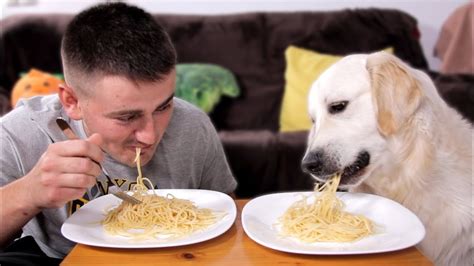 Are Spaghetti Noodles Bad For Dogs