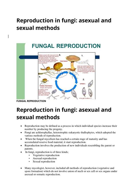 Reproduction in fungi - • Fungi are achlorophyllas, heterotrophic ...