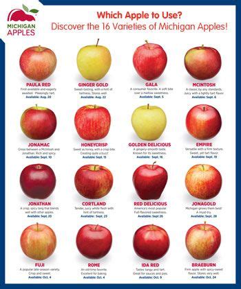 16 Types of Apples from Michigan | Healthy Family Project | Apple ...