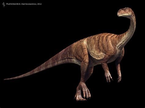 20 best Plateosaurus images on Pinterest | Dinosaurs, Prehistoric animals and Prehistoric