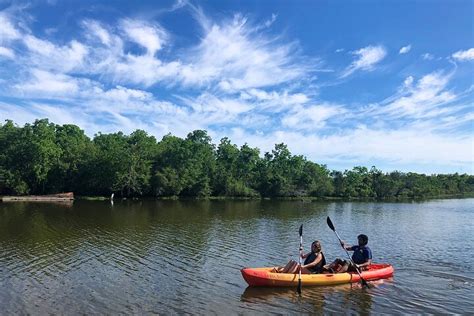 Self Guided Kayak Bayou Swamp Tour 2024 | Cool New Orleans