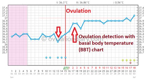 Determining ovulation by Basal Body Temperature (Works ...