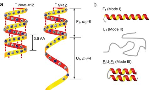 Representative geometry of an alpha helix structure. a) The coiled ...