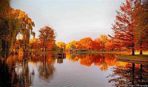 Autumn in Boston III by MyLifeThroughTheLens on DeviantArt