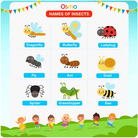 Names Of Insects | List Of All The Insects Name