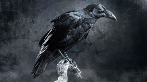 Dark Raven Wallpapers - Top Những Hình Ảnh Đẹp