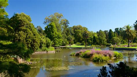 Royal Botanic Gardens in Melbourne, Victoria | Expedia.ca