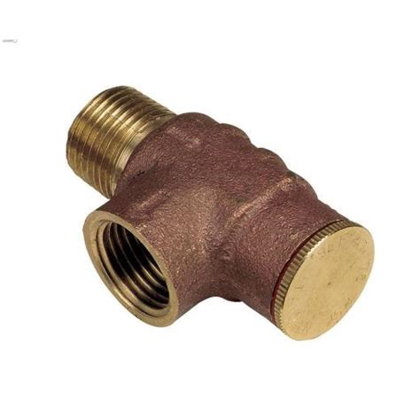 Pentair - 1/2" & 3/4" NPT Brass Pressure Relief Valve | Other Valves