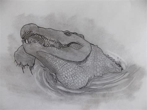 Rimasuchus, an extinct crocodile from Africa, by Dinobastis : r ...