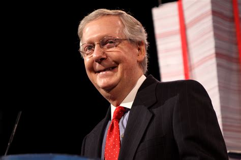 China Mitch: McConnell has family ties to Bank of China, top Chinese ...