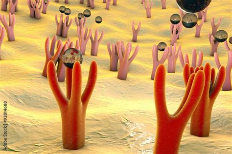 Membrane of cell surface with receptors and molecules coming to ...