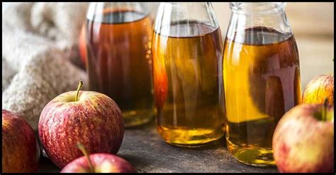 Can Apple Cider Vinegar Help Treat Symptoms Of UTI? | Dr Farrah MD