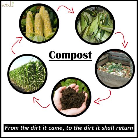 Every Day Is Special: May 29 – Learn About Composting Day