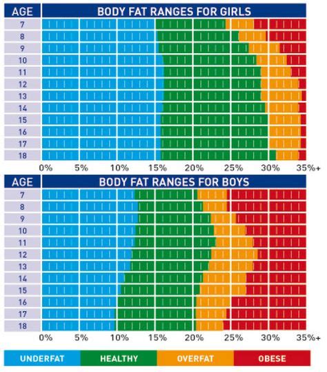 Pin en Muscle Mass Chart, BMI, Bone Mass etc.