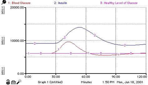 Glucose-Insulin Model