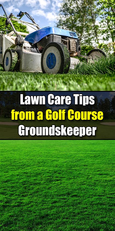 Green Lawn Care Tips and a Secret Lawn Tonic Recipe from a Golf Course Groundskeeper - Golly Gee ...