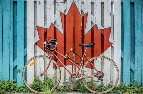 Types of Bike Locks (and Which is Best?)