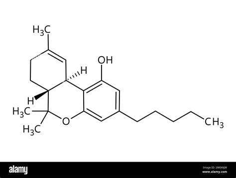 Tetrahydrocannabinol, or THC, molecular structure. Tetrahydrocannabinol is the principal ...