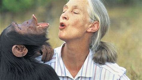 Famous Zoologists | Jane goodall, Chimpanzee, Fact families