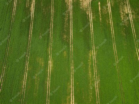 Premium Photo | Aerial view of green soybean field