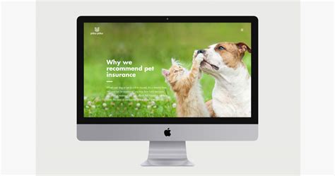 Paw Paw - Pet Insurance | Branding - Website on Behance