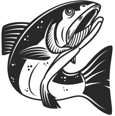 Sockeye Salmon Illustrations, Royalty-Free Vector Graphics & Clip Art - iStock